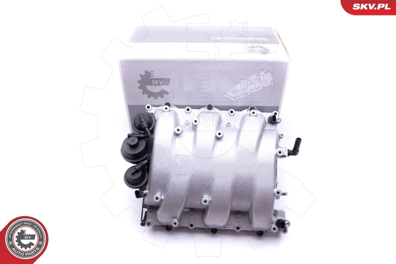 Intake Manifold Module